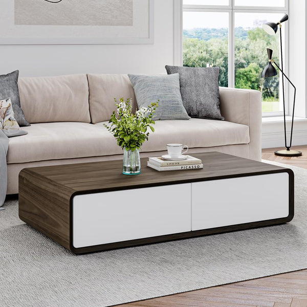 Shinju Wood Coffee Table with Storage
